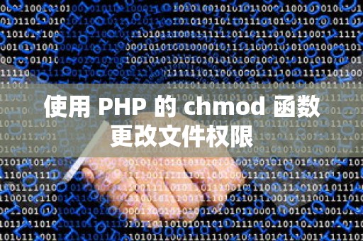 使用 PHP 的 chmod 函数更改文件权限