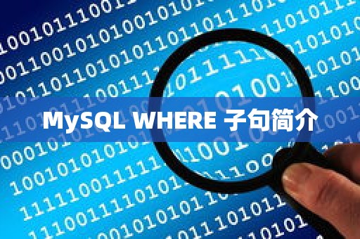 MySQL WHERE 子句简介