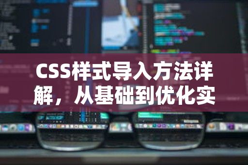 CSS样式导入方法详解，从基础到优化实践