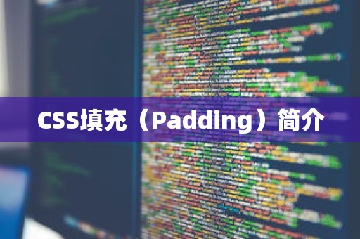 CSS填充（Padding）简介