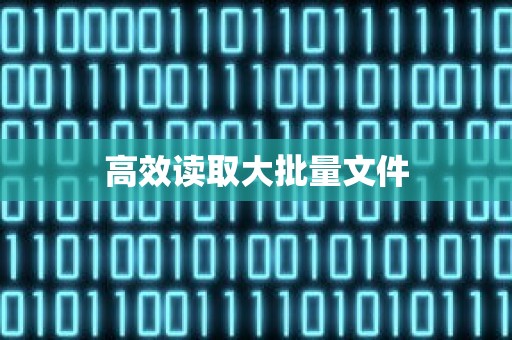 高效读取大批量文件