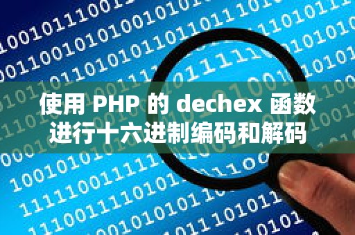 使用 PHP 的 dechex 函数进行十六进制编码和解码