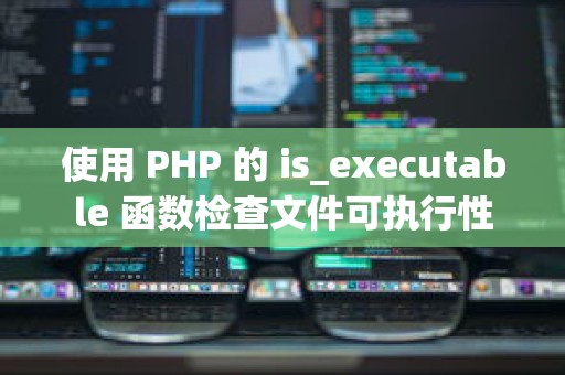 使用 PHP 的 is_executable 函数检查文件可执行性